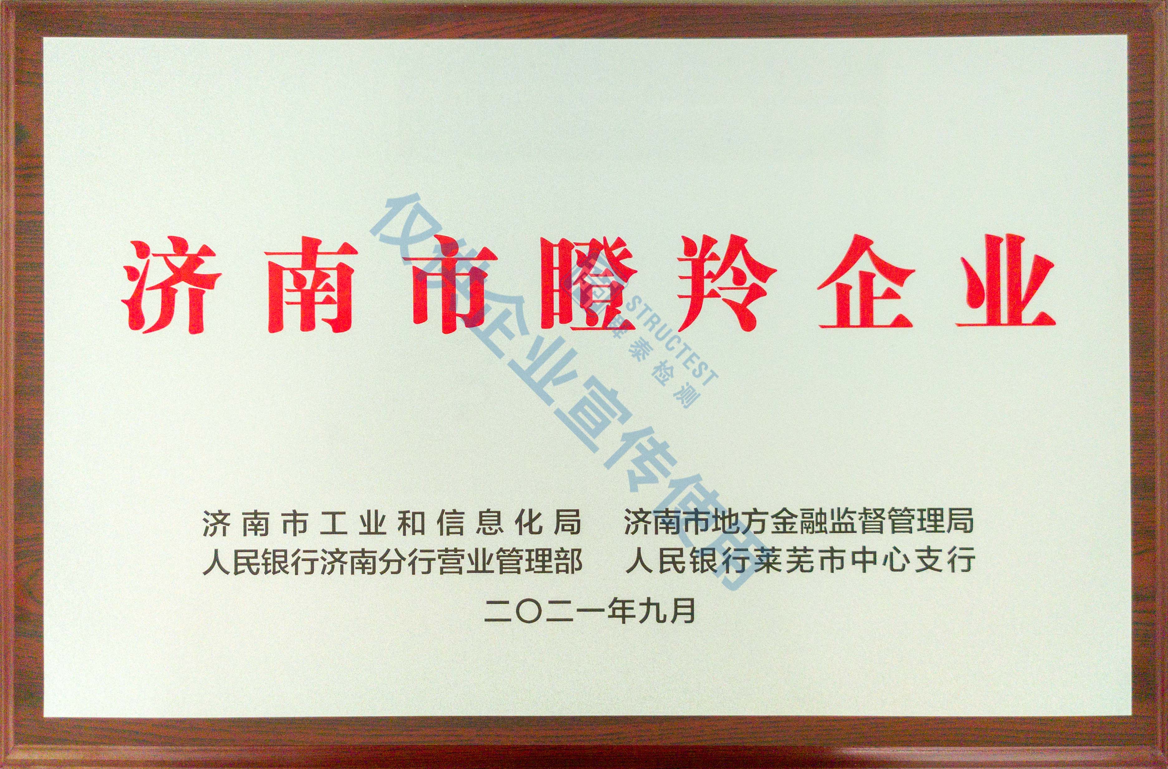 濟(jì)南市瞪羚企業(yè)