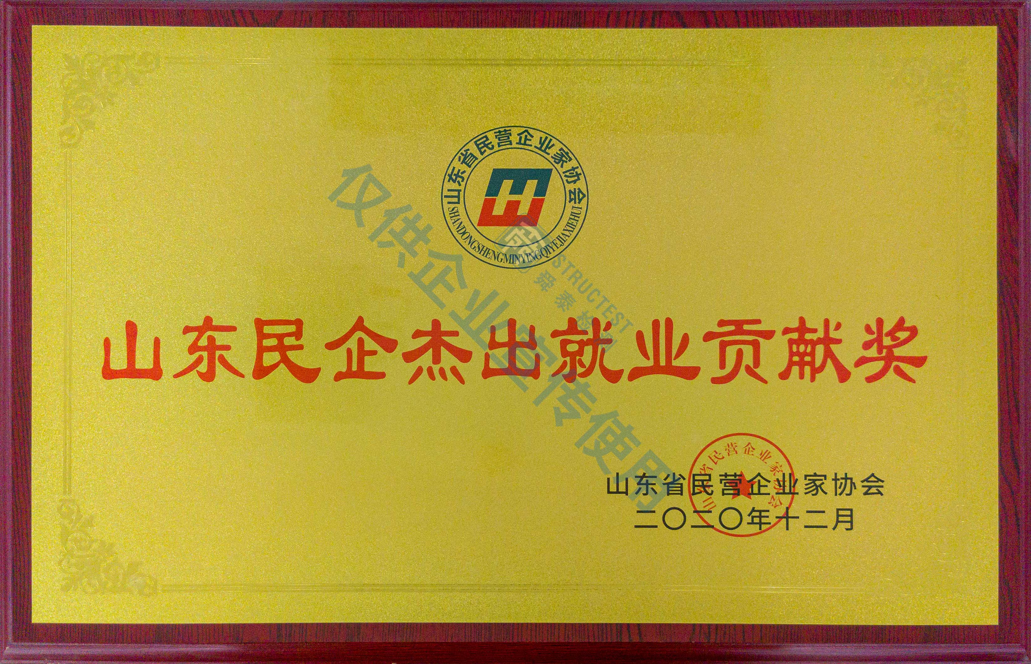 山東民企杰出就業(yè)貢獻獎